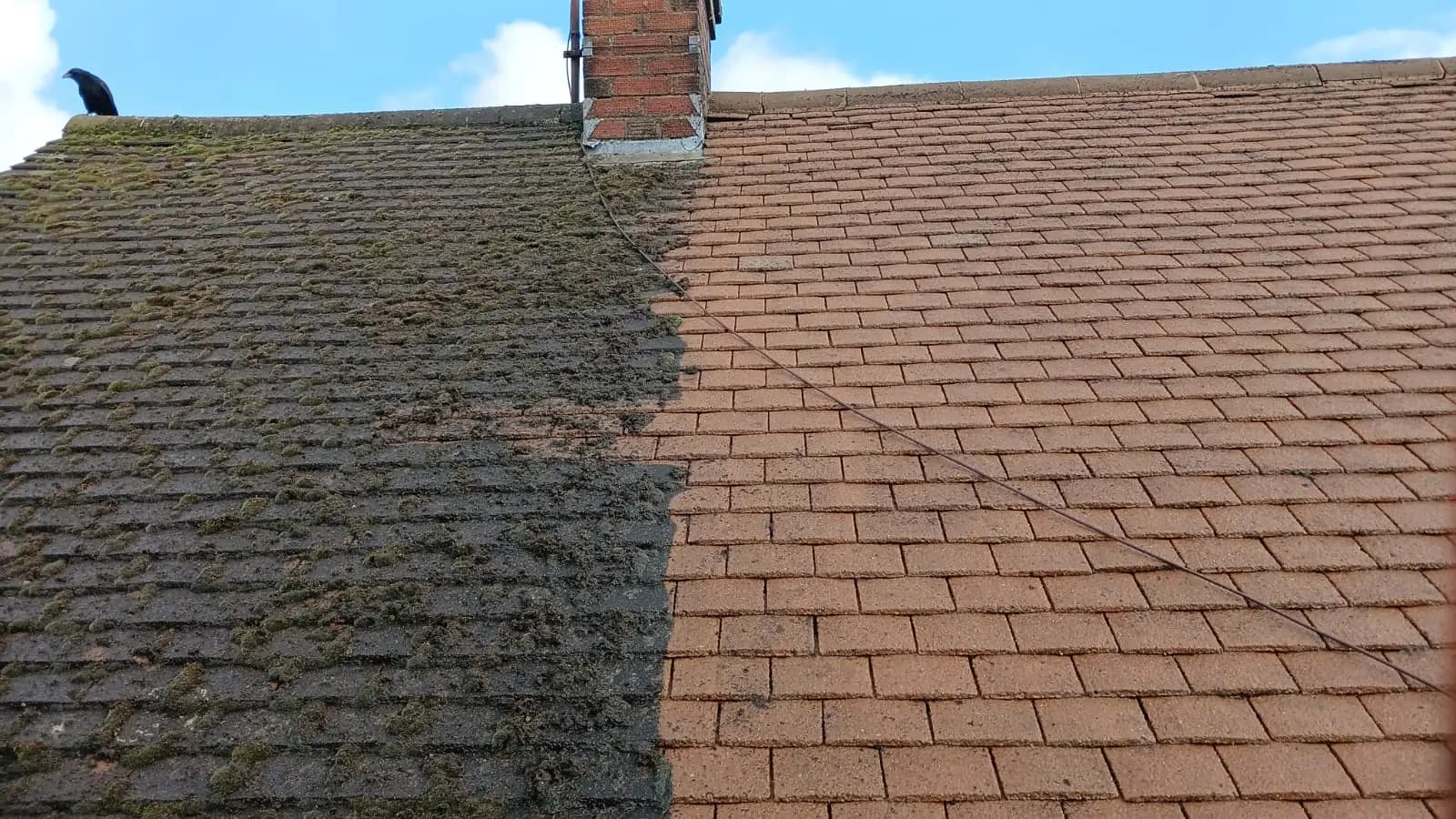 Before and after softwash roof cleaning removing moss from terracotta tiles
